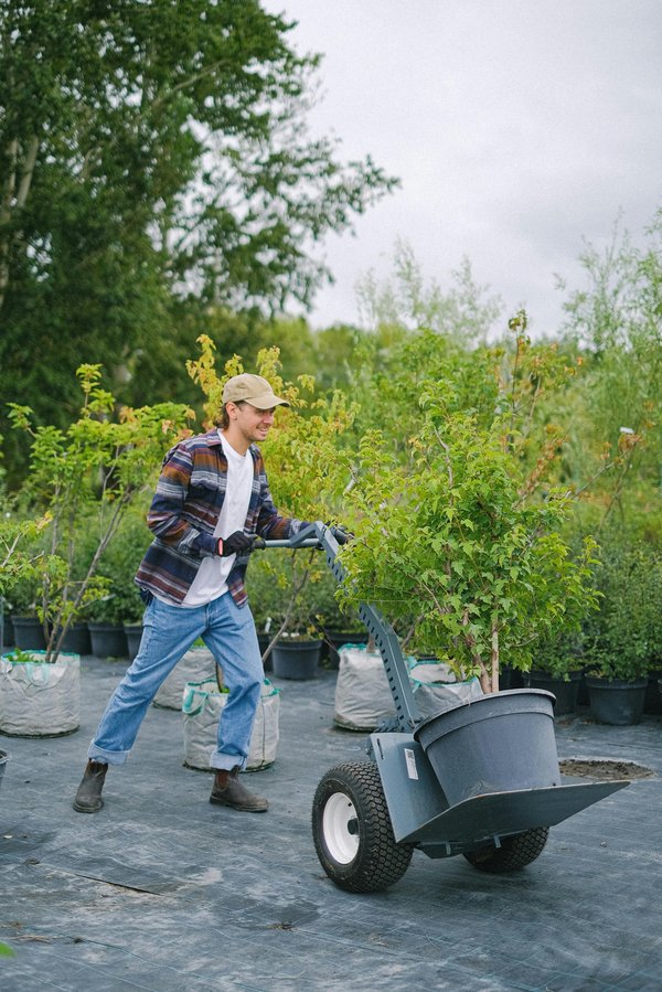 Paysagiste à gordes : créez un jardin écologique et personnalisé
